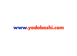 www.yodobashi.com